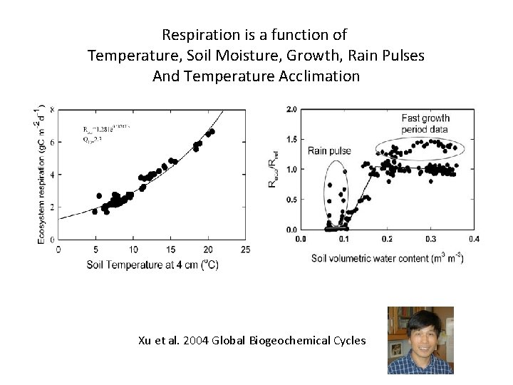 Respiration is a function of Temperature, Soil Moisture, Growth, Rain Pulses And Temperature Acclimation