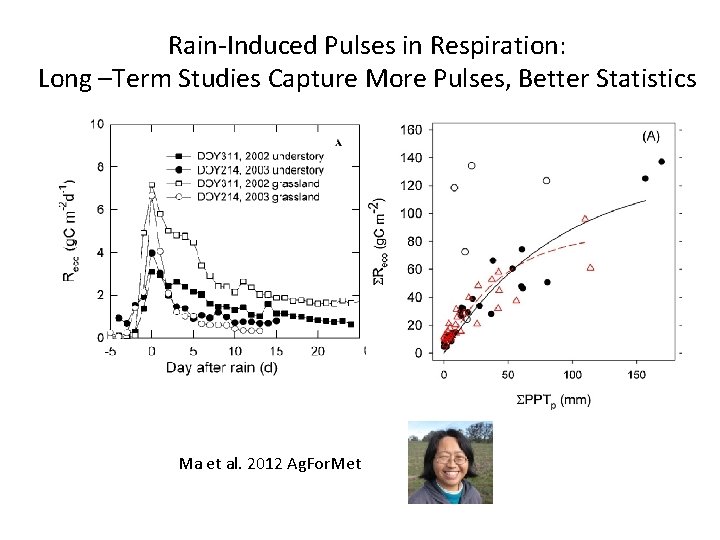 Rain-Induced Pulses in Respiration: Long –Term Studies Capture More Pulses, Better Statistics Ma et