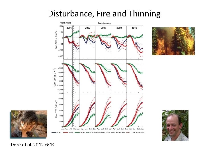 Disturbance, Fire and Thinning Dore et al. 2012 GCB 