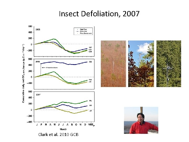Insect Defoliation, 2007 Clark et al. 2010 GCB 