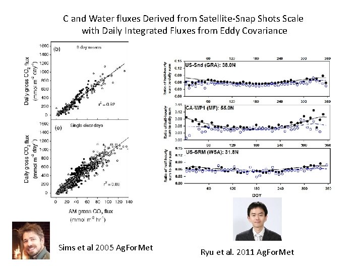 C and Water fluxes Derived from Satellite-Snap Shots Scale with Daily Integrated Fluxes from