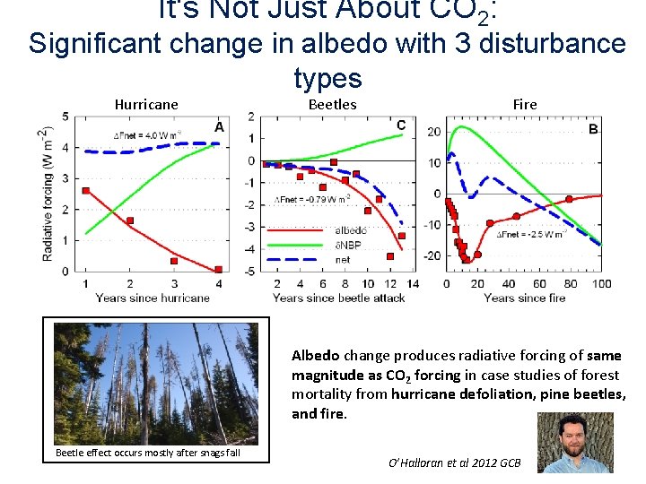 It‘s Not Just About CO 2: Significant change in albedo with 3 disturbance types