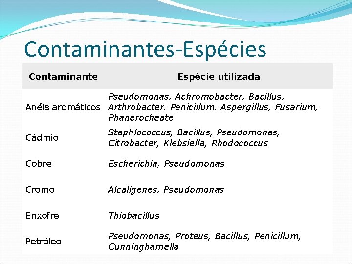 Contaminantes-Espécies Contaminante Espécie utilizada Pseudomonas, Achromobacter, Bacillus, Anéis aromáticos Arthrobacter, Penicillum, Aspergillus, Fusarium, Phanerocheate