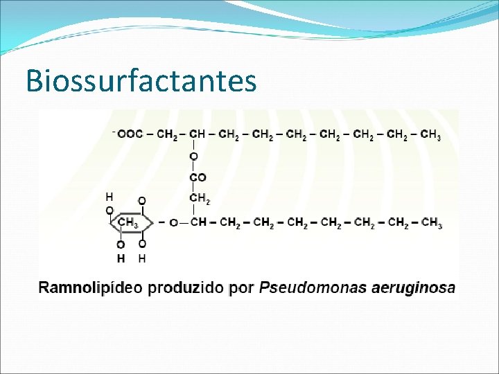 Biossurfactantes 