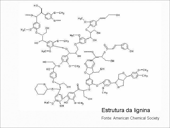 Estrutura da lignina Fonte: American Chemical Society 