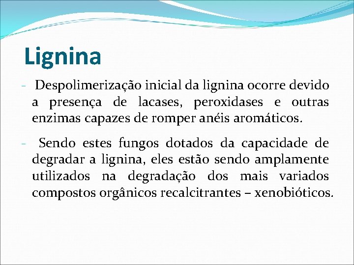 Lignina - Despolimerização inicial da lignina ocorre devido a presença de lacases, peroxidases e