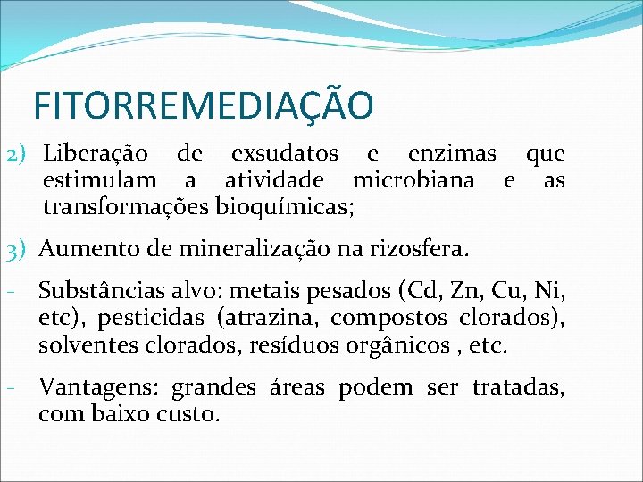 FITORREMEDIAÇÃO 2) Liberação de exsudatos e enzimas que estimulam a atividade microbiana e as