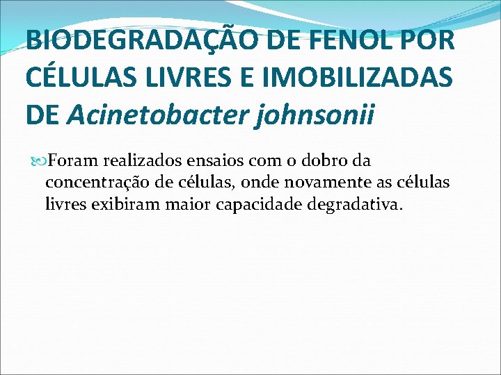 BIODEGRADAÇÃO DE FENOL POR CÉLULAS LIVRES E IMOBILIZADAS DE Acinetobacter johnsonii Foram realizados ensaios