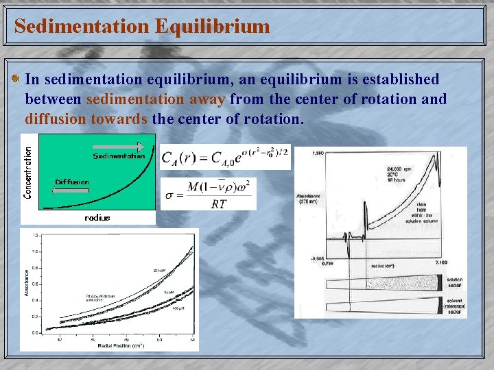 Sedimentation Equilibrium In sedimentation equilibrium, an equilibrium is established between sedimentation away from the