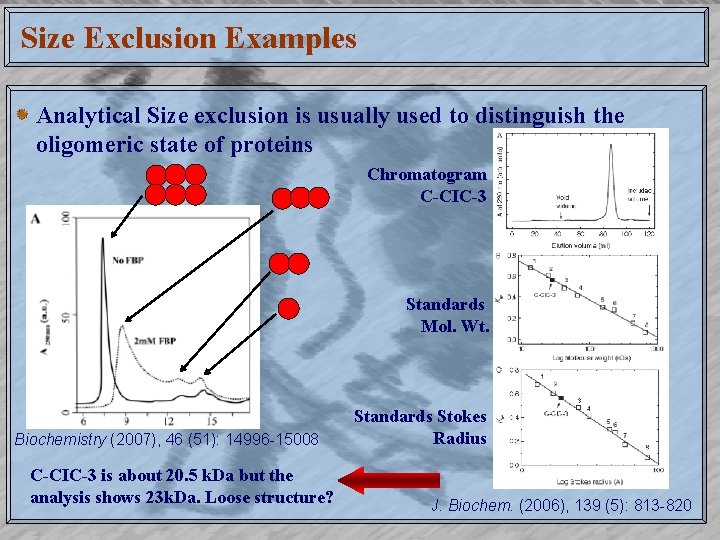 Size Exclusion Examples Analytical Size exclusion is usually used to distinguish the oligomeric state