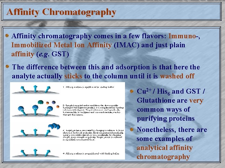 Affinity Chromatography Affinity chromatography comes in a few flavors: Immuno-, Immobilized Metal Ion Affinity