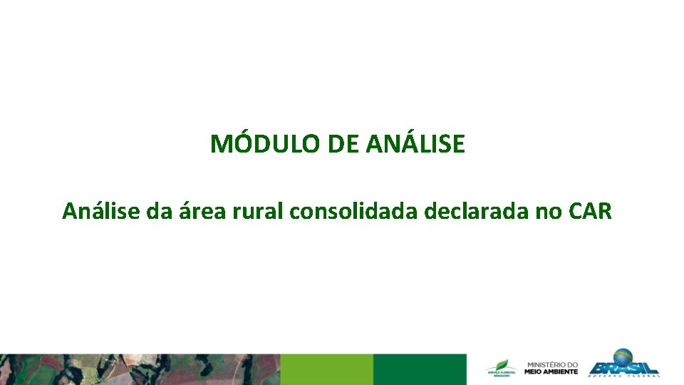 MÓDULO DE ANÁLISE Análise da área rural consolidada declarada no CAR 