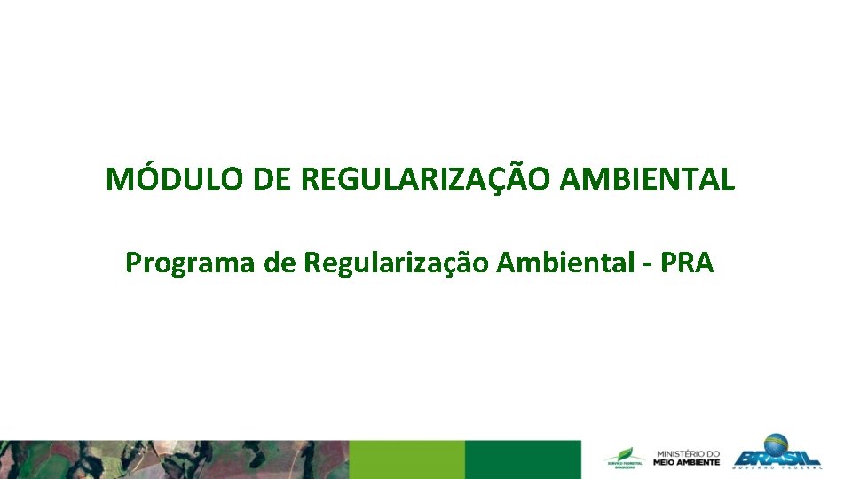 MÓDULO DE REGULARIZAÇÃO AMBIENTAL Programa de Regularização Ambiental - PRA 