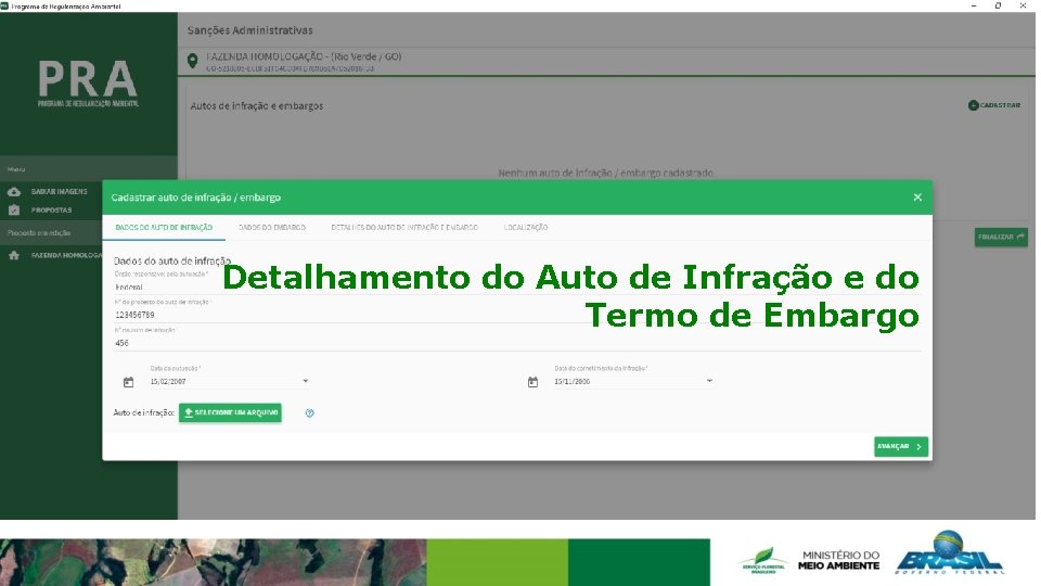 Detalhamento do Auto de Infração e do Termo de Embargo 