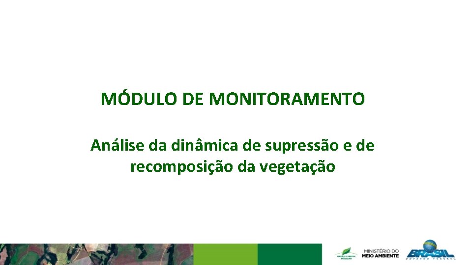 MÓDULO DE MONITORAMENTO Análise da dinâmica de supressão e de recomposição da vegetação 