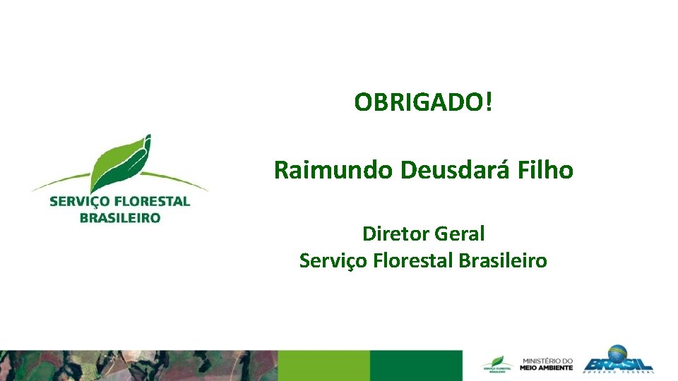 OBRIGADO! Raimundo Deusdará Filho Diretor Geral Serviço Florestal Brasileiro 