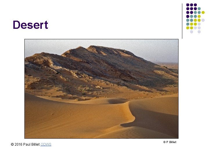 Desert © 2016 Paul Billiet ODWS © P Billiet 