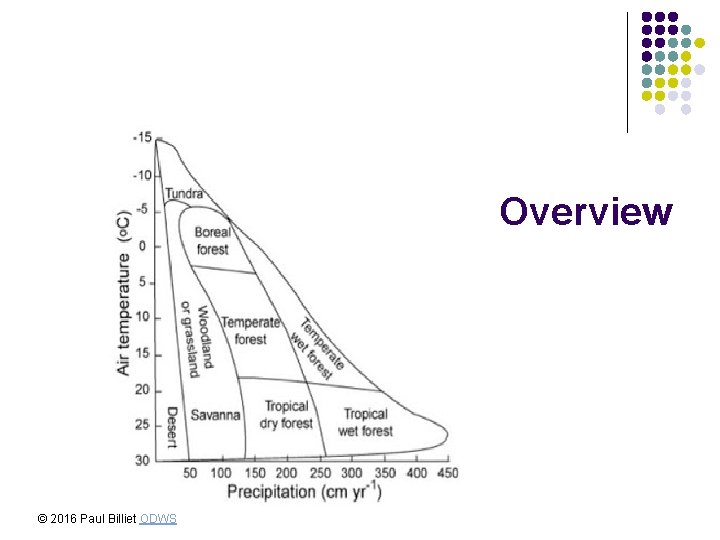 Overview © 2016 Paul Billiet ODWS 