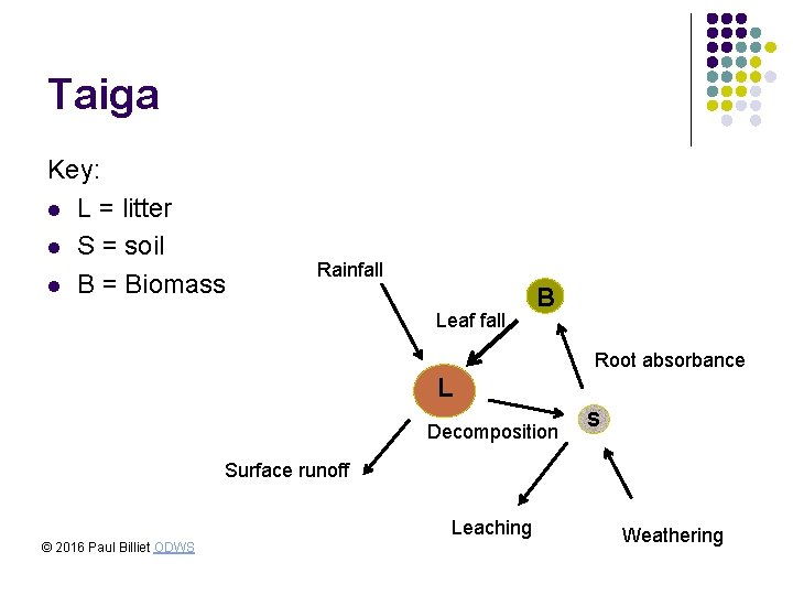 Taiga Key: l L = litter l S = soil l B = Biomass