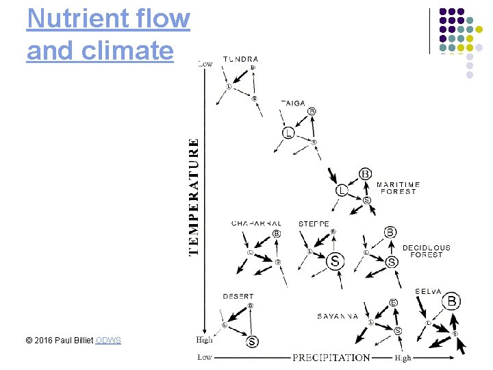 Nutrient flow and climate © 2016 Paul Billiet ODWS 