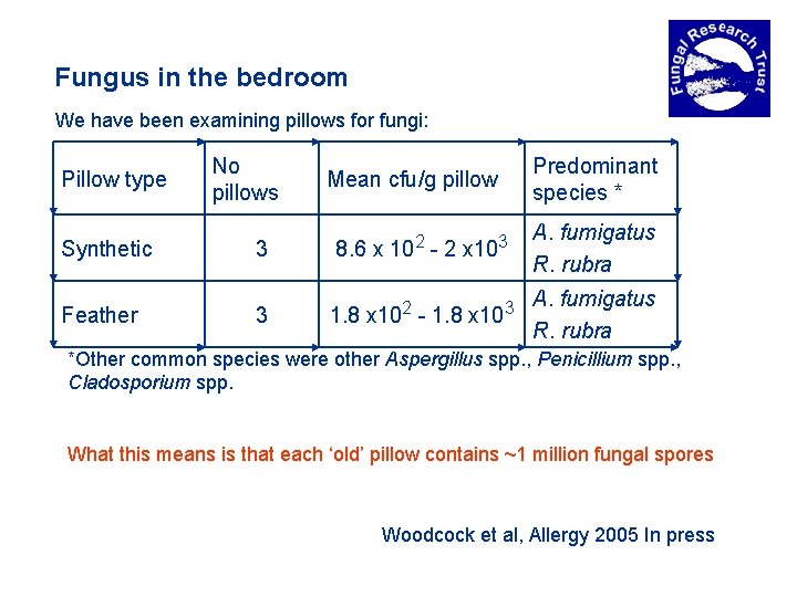 Fungus in the bedroom We have been examining pillows for fungi: Pillow type No