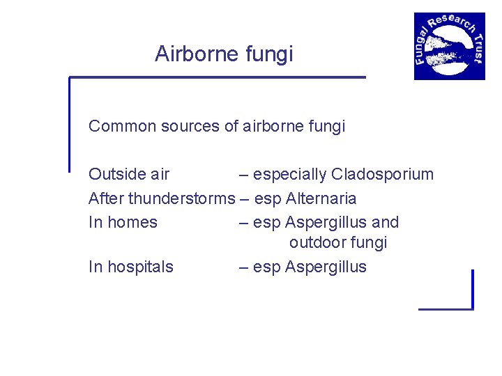 Airborne fungi Common sources of airborne fungi Outside air – especially Cladosporium After thunderstorms