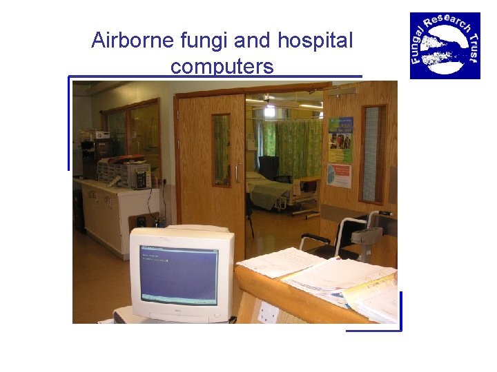 Airborne fungi and hospital computers 