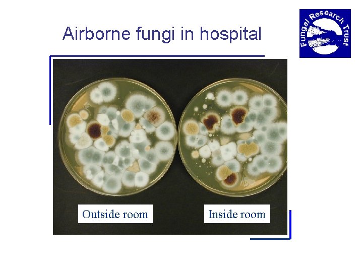 Airborne fungi in hospital Outside room Inside room 