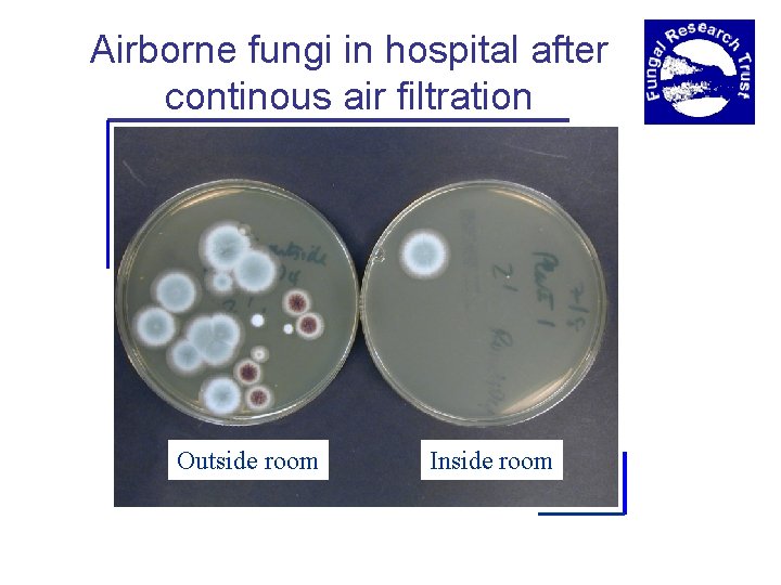 Airborne fungi in hospital after continous air filtration Outside room Inside room 