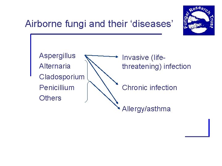 Airborne fungi and their ‘diseases’ Aspergillus Alternaria Cladosporium Penicillium Others Invasive (lifethreatening) infection Chronic
