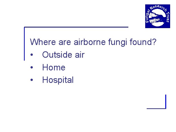 Where airborne fungi found? • Outside air • Home • Hospital 