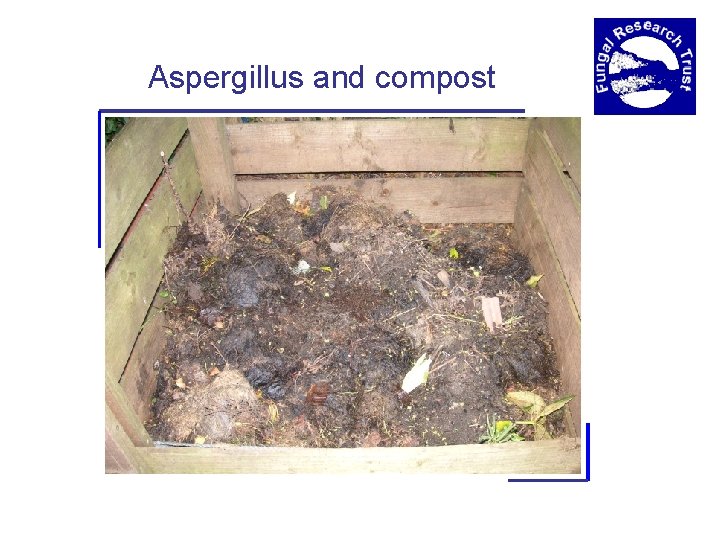 Aspergillus and compost 