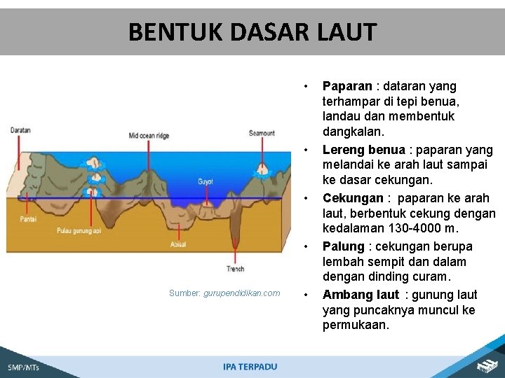 BENTUK DASAR LAUT • • Sumber: gurupendidikan. com • Paparan : dataran yang terhampar