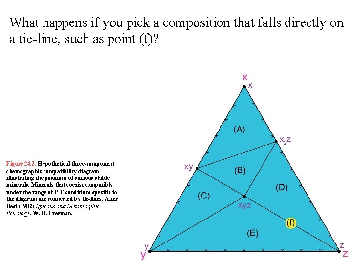 What happens if you pick a composition that falls directly on a tie-line, such