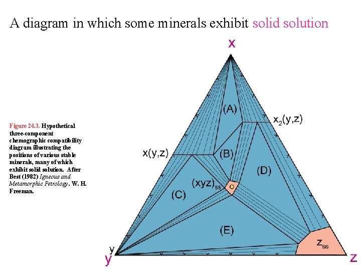 A diagram in which some minerals exhibit solid solution Figure 24. 3. Hypothetical three-component