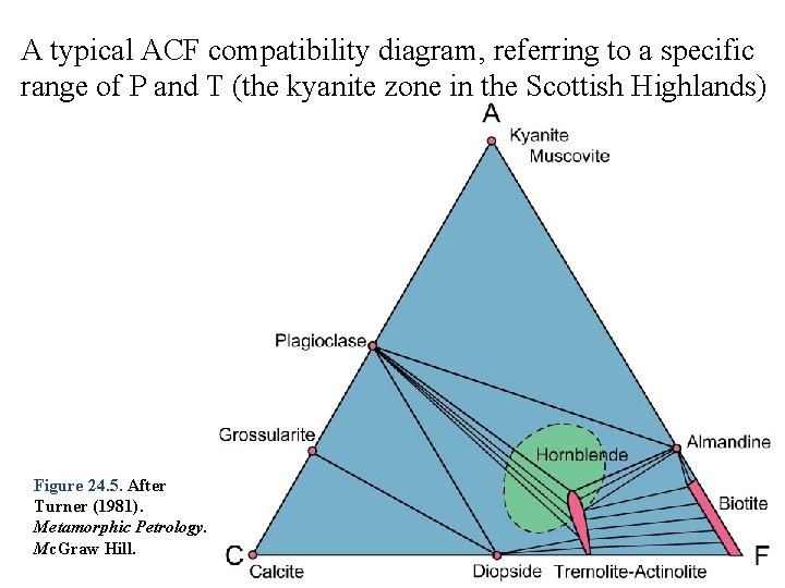 A typical ACF compatibility diagram, referring to a specific range of P and T