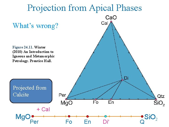 Projection from Apical Phases What’s wrong? Figure 24. 11. Winter (2010) An Introduction to