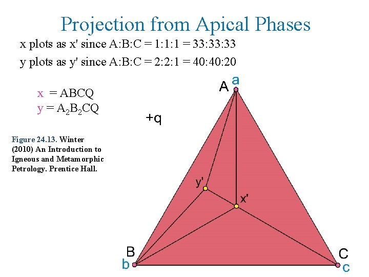 Projection from Apical Phases x plots as x' since A: B: C = 1: