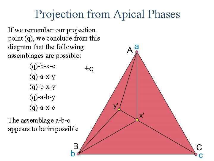 Projection from Apical Phases If we remember our projection point (q), we conclude from