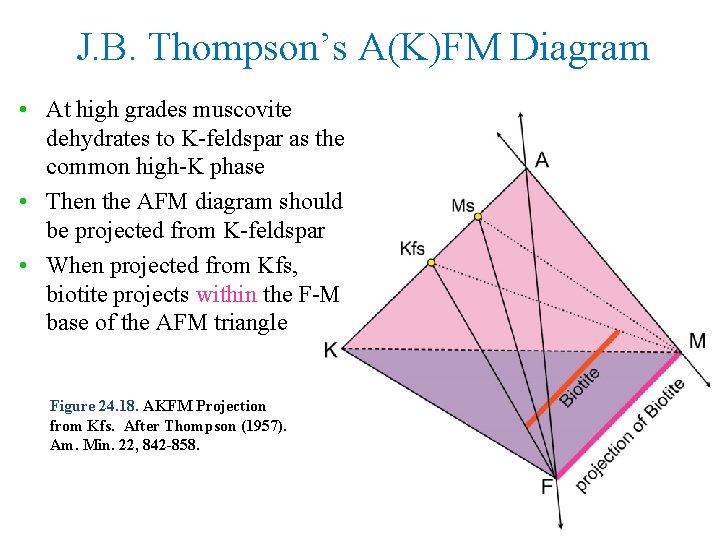 J. B. Thompson’s A(K)FM Diagram • At high grades muscovite dehydrates to K-feldspar as
