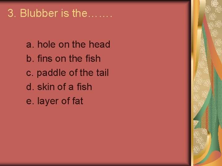 3. Blubber is the……. a. hole on the head b. fins on the fish
