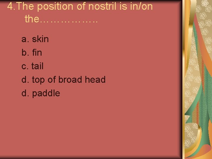 4. The position of nostril is in/on the……………. . a. skin b. fin c.