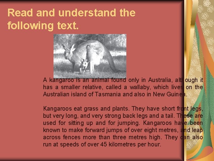 Read and understand the following text. A kangaroo is an animal found only in