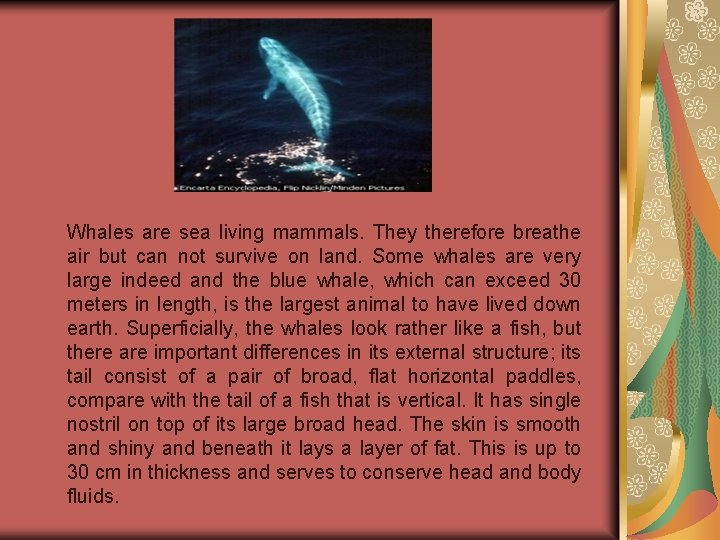 Whales are sea living mammals. They therefore breathe air but can not survive on