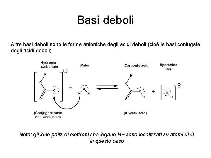 Basi deboli Altre basi deboli sono le forme anioniche degli acidi deboli (cioè le