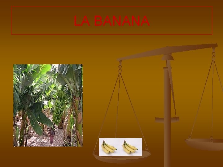 LA BANANA 