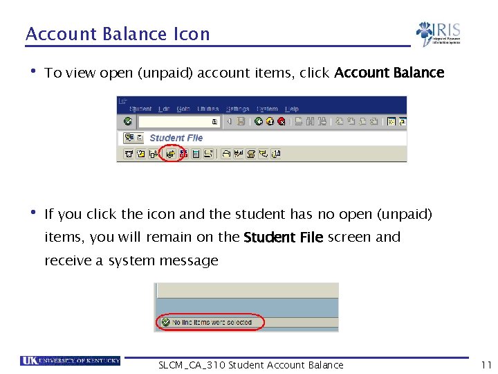Account Balance Icon • To view open (unpaid) account items, click Account Balance •