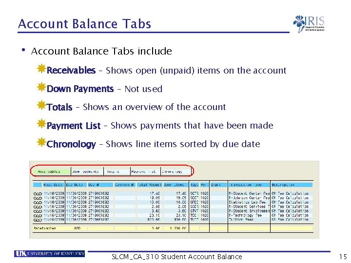 Account Balance Tabs • Account Balance Tabs include Receivables – Shows open (unpaid) items