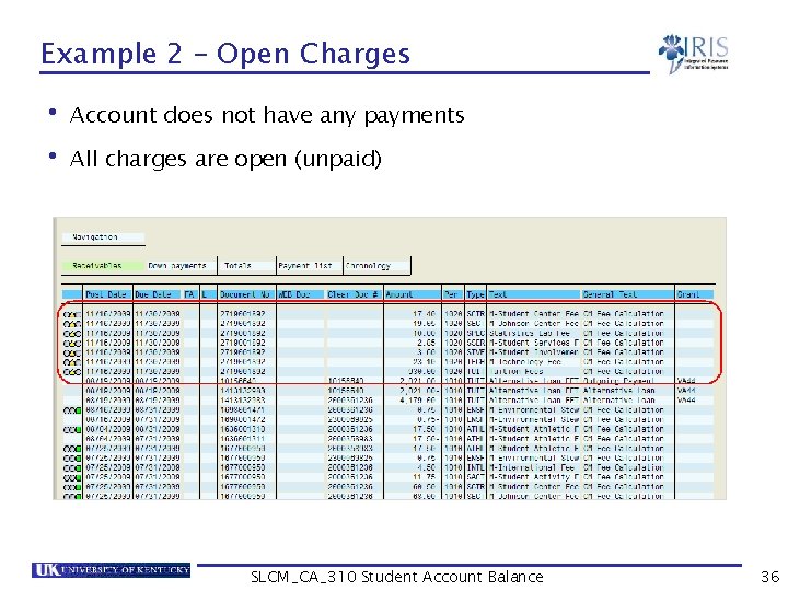 Example 2 – Open Charges • Account does not have any payments • All