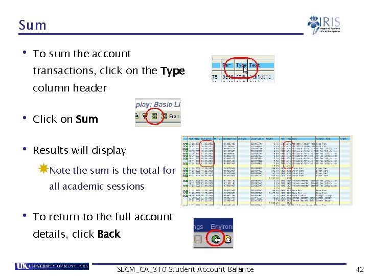 Sum • To sum the account transactions, click on the Type column header •